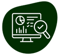 Website Audit